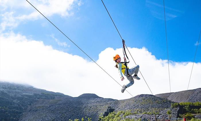Quarry Flyer perfect for younger ones
